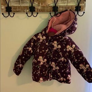 Joes jeans toddler puffer coat